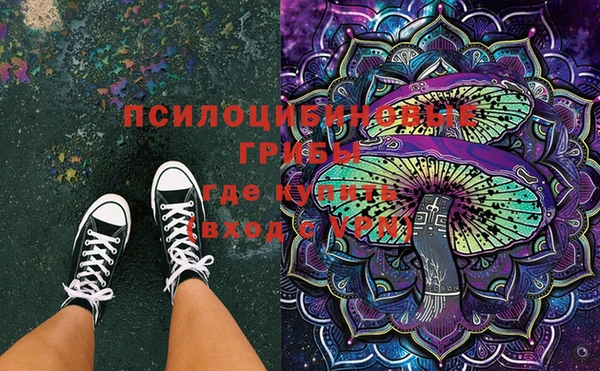 мяу мяу кристалл Няндома