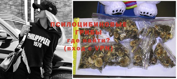 мяу мяу кристалл Няндома