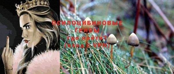 мяу мяу мука Новозыбков
