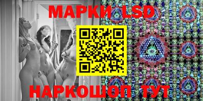 крисы Будённовск