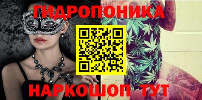 PSILOCYBIN Апшеронск