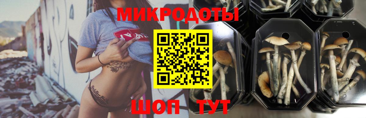 Псилоцибиновые грибы Magic Shrooms Клин